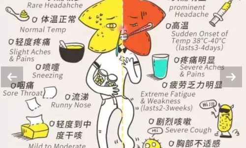 左侧精索静脉曲张吃药能治好吗-左精索静脉曲张能自愈吗专区_左侧精索静脉曲张过来人经验专区_左侧精索静脉曲张症状用药网