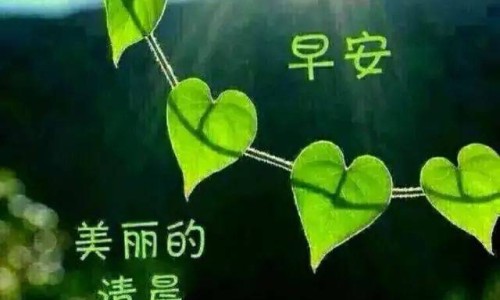 左侧精索静脉曲张治疗-左精索静脉曲张能自愈吗专区_左侧精索静脉曲张过来人经验专区_左侧精索静脉曲张症状用药网